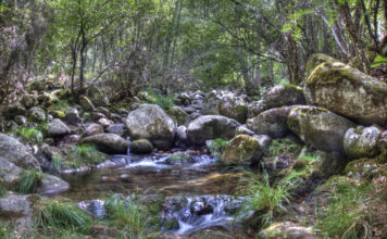 CIRCULAR LLANO ALTO – NAVAMUÑO – CANDELARIO Arroyo