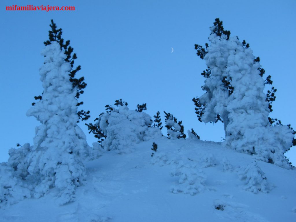 La nieve lo cubre todo
