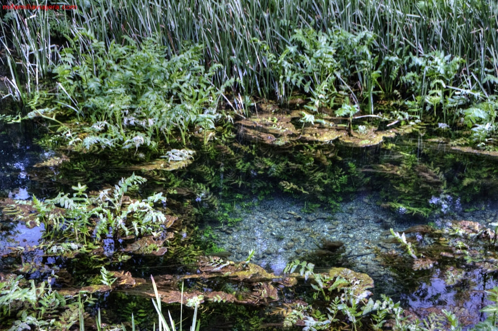 Aguas cristalinas del Río Abión