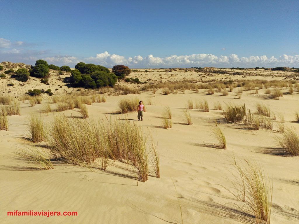 Sistema dunar del Espacio Natural Doñana