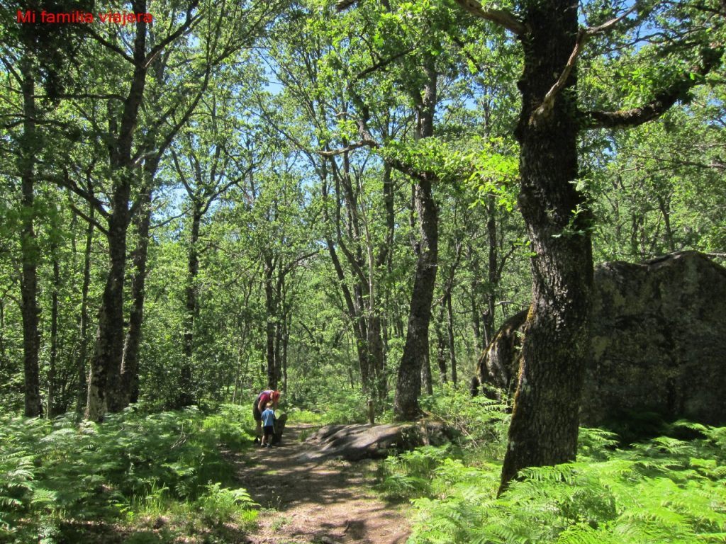 Camino cómodo hacia Sotillo de Sanabria
