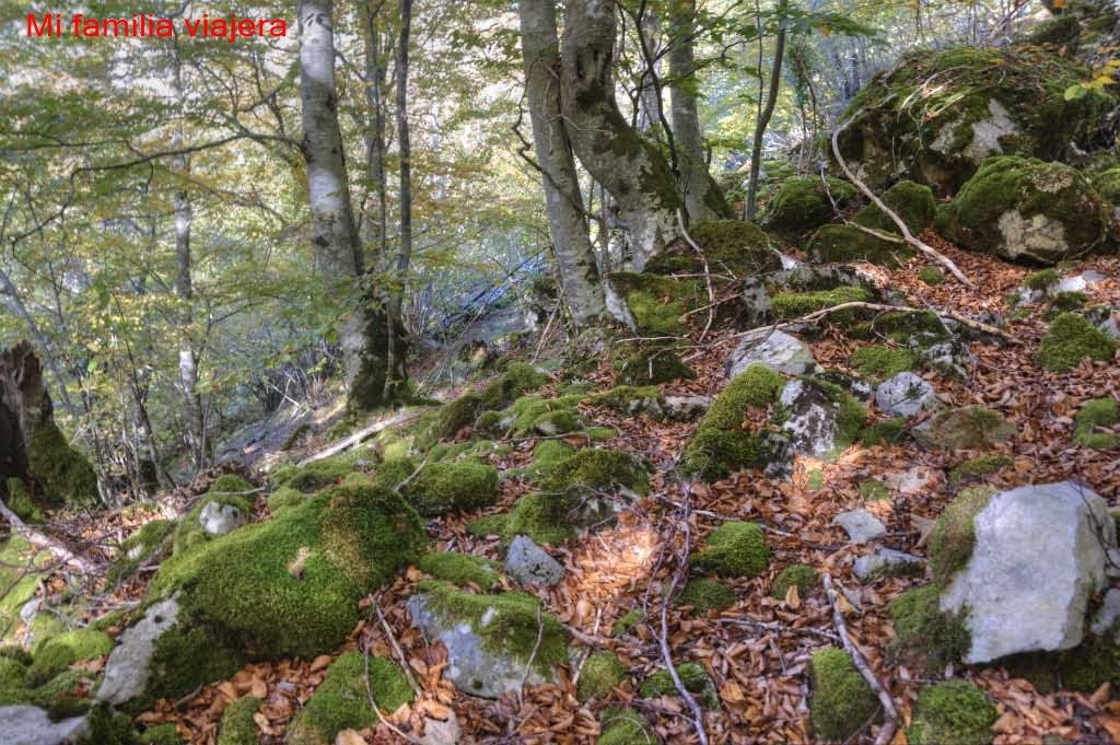 Brañagallones, Parque Natural Redes, Asturias