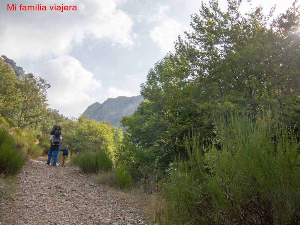 Sendero hacia Faedo