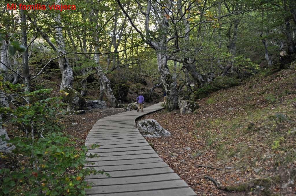 Pasarelas del Faedo de Ciñera
