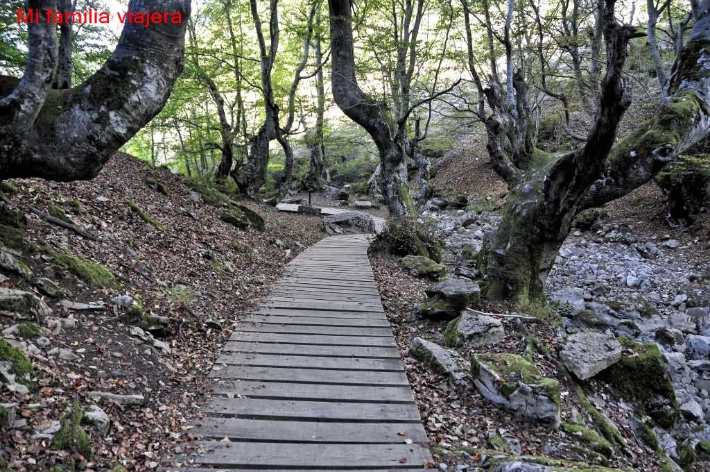Paseo por el Faedo de Ciñera