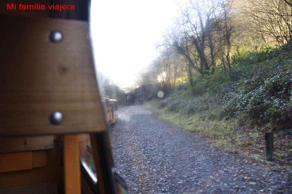 Tren minero