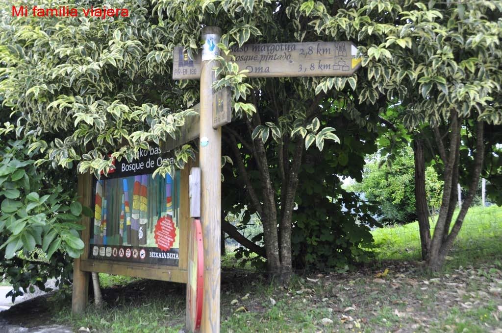 Bosque de Oma, Vizcaya