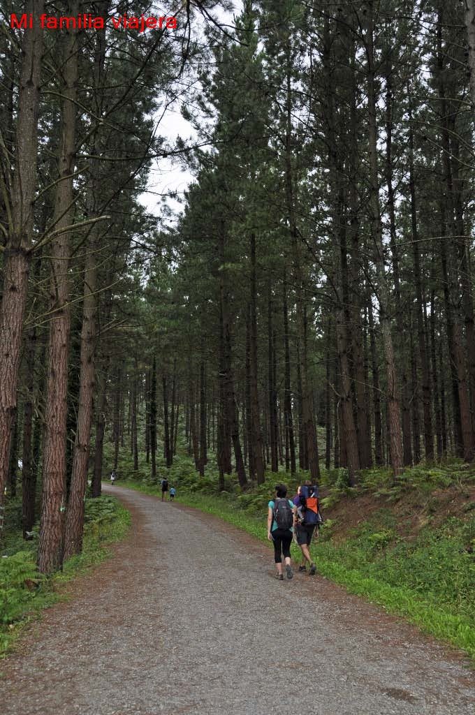 Bosque de Oma, Vizcaya
