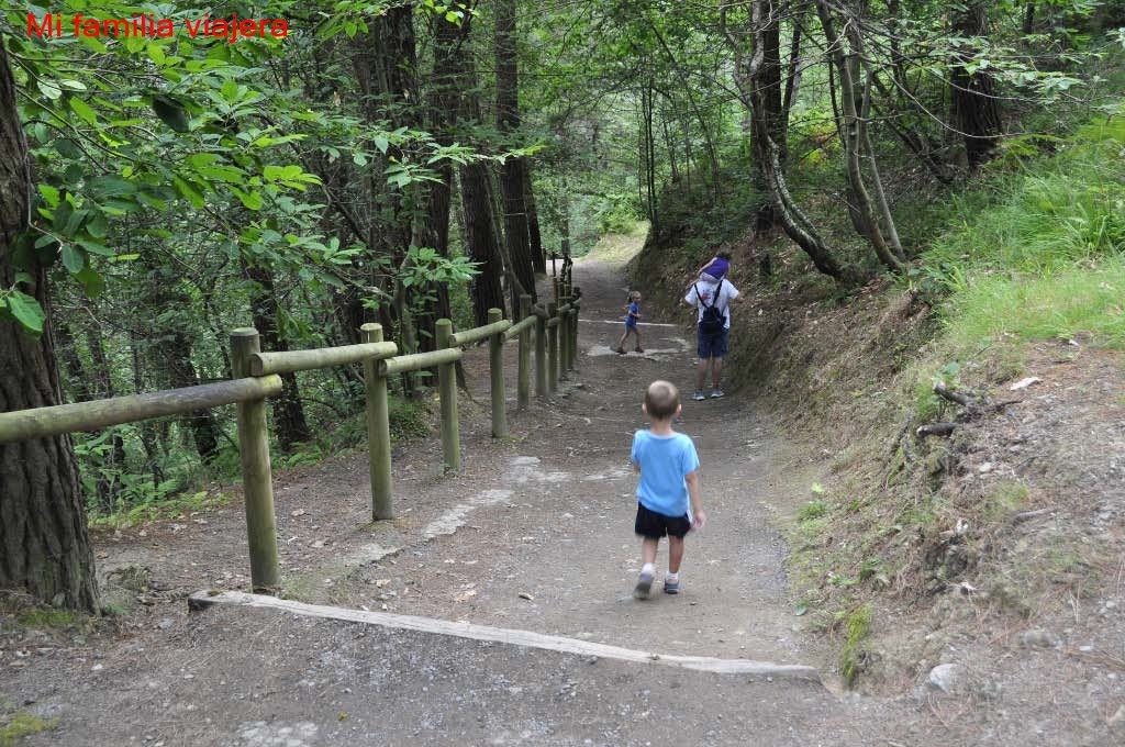 Bosque de Oma, Vizcaya