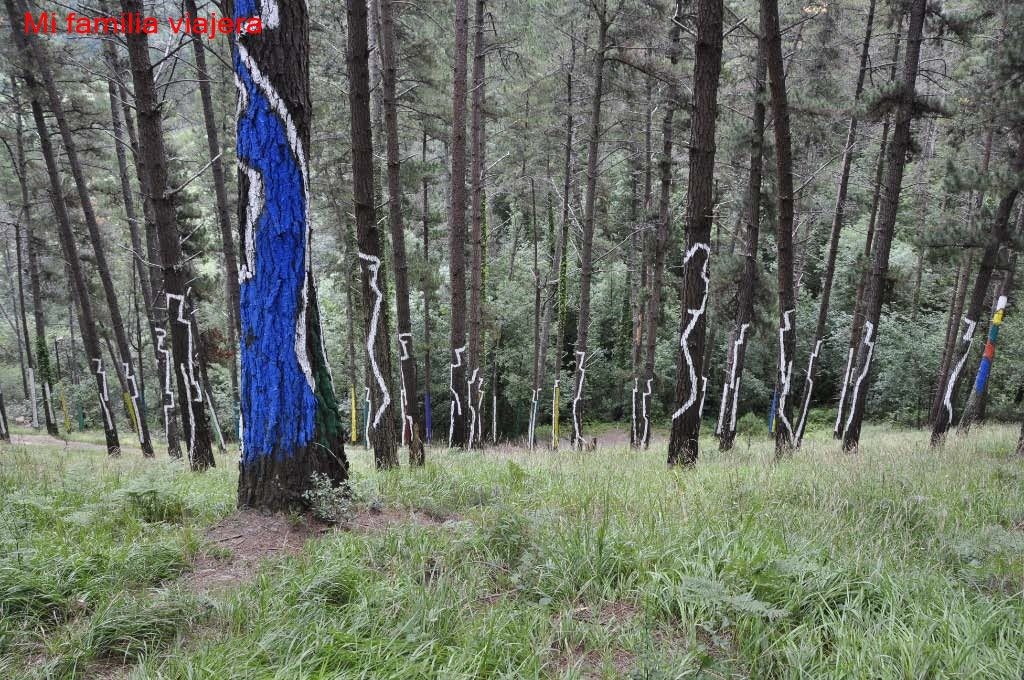 Bosque de Oma, Vizcaya