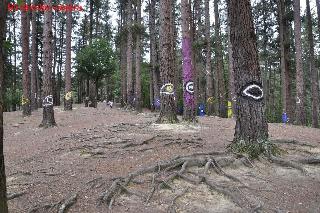 Bosque de Oma, Vizcaya