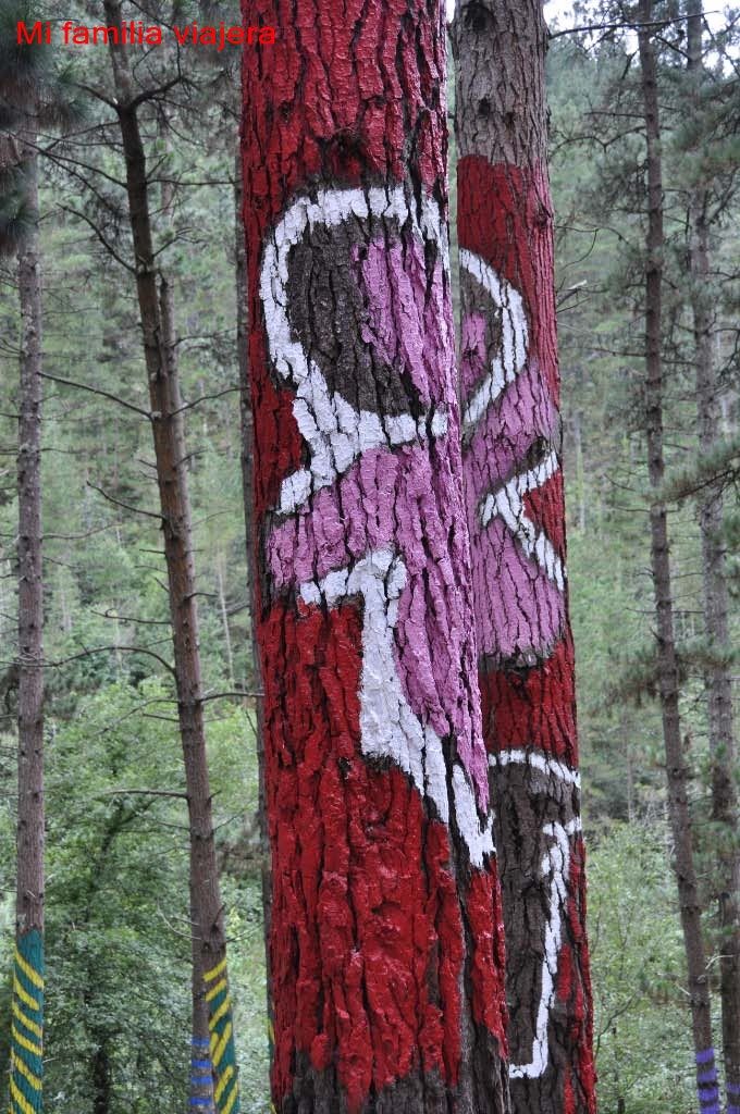 Bosque de Oma, Vizcaya