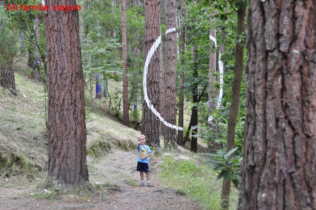 Bosque de Oma, Vizcaya