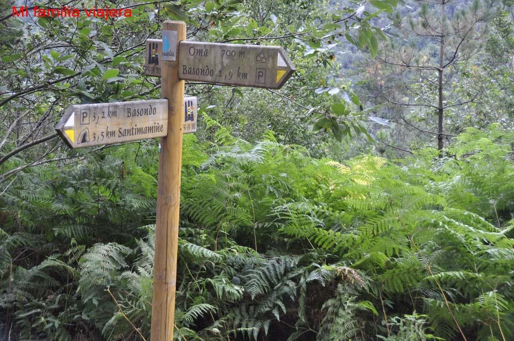 Bosque de Oma, Vizcaya