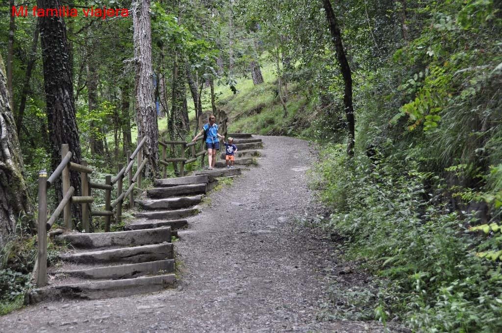 Bosque de Oma, Vizcaya