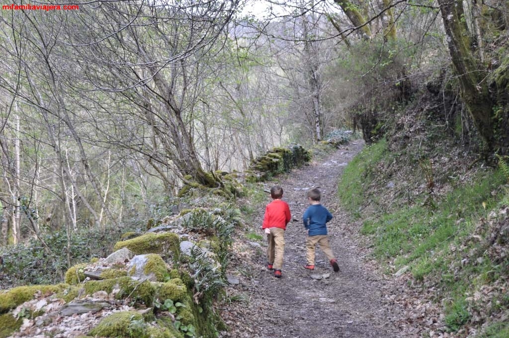Cascada de la Seimeira, Santa Eulalia de Oscos, Oscos-Eo, Asturias