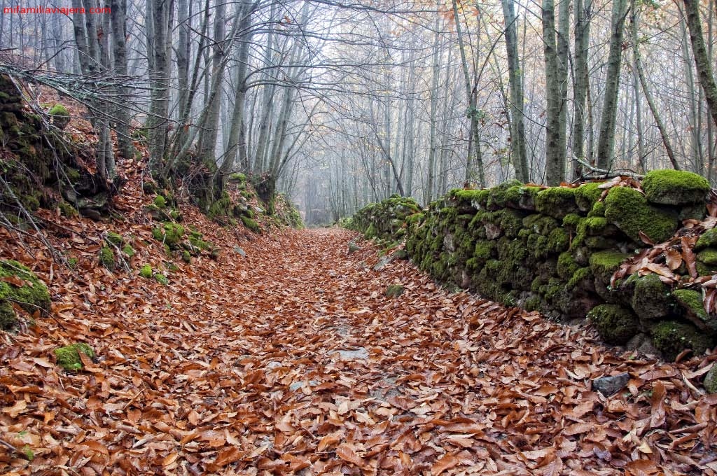 Puerto de Santa Clara, San Martín de Trevejo, Sierra de Gata, Cáceres, Extremadura