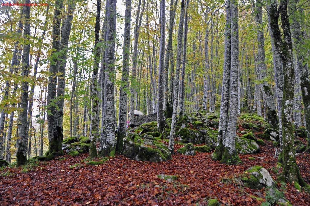 Embalse de Irabia, Selva de Irati, Navarra