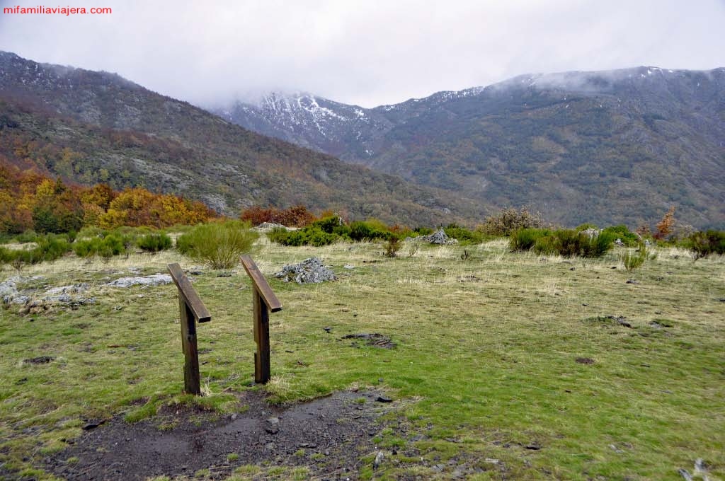 Atalaya sobre el hayedo