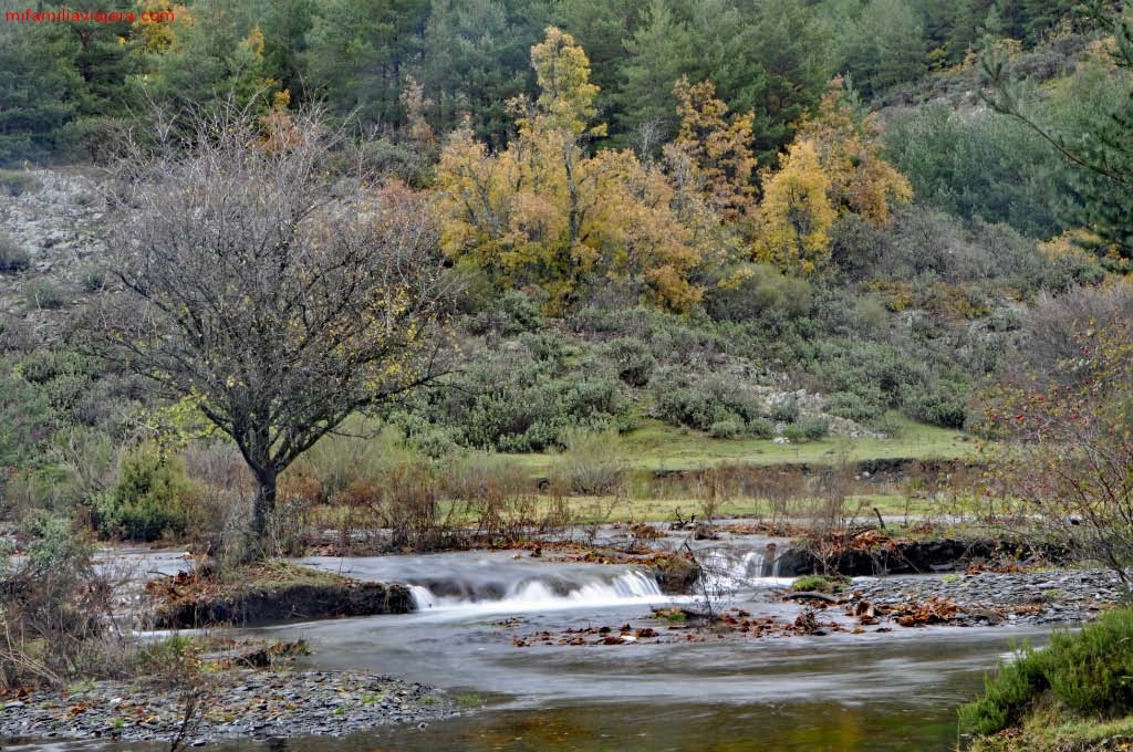 Cauce del río Lillas