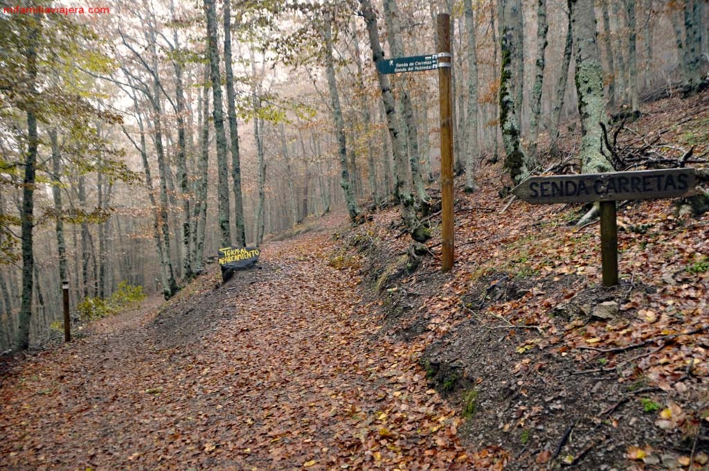 Desvío en la ruta