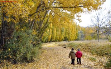 HOCES DEL RIO RIAZA CON NIÑOS: el guardián de los buitres segovianos Parque Natural Hoces del Río Riaza, Segovia