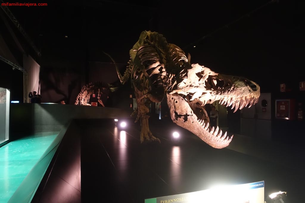 Museo Paleontológico