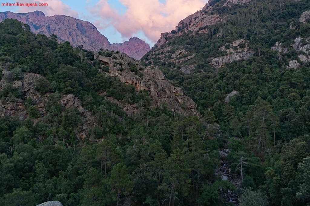 Bosque Bonifatu