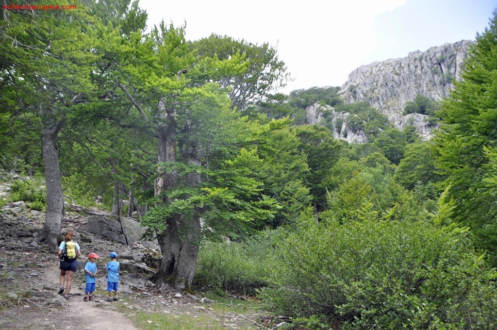 Bergeries des Pozzi, Bastelica