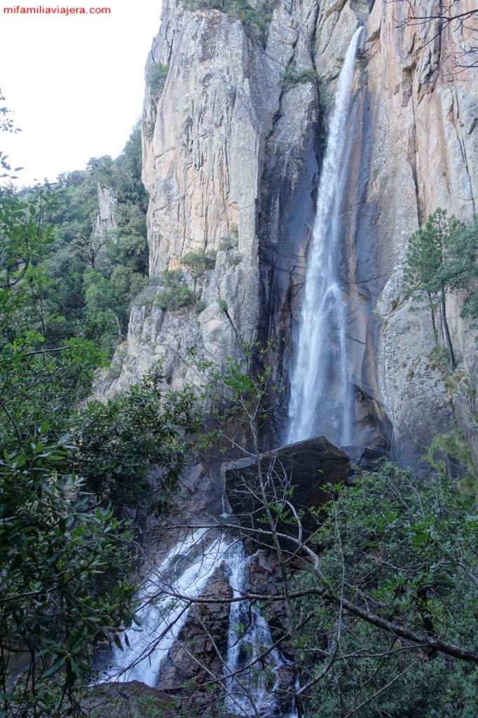 Piscia di Gallo