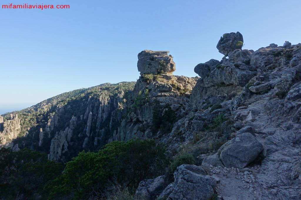 Piscia di Gallo