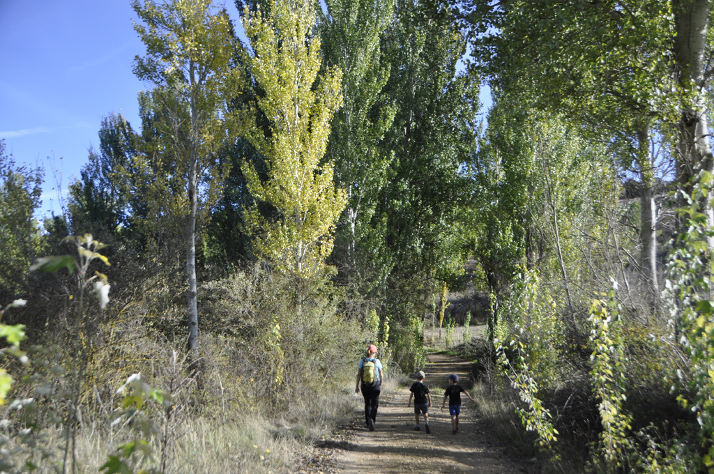 Camino de la Granja, una de las rutas de senderismo en otoño más sencilla de hacer
