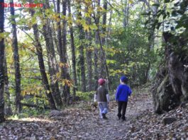 Rutas de senderismo en otoño con niños