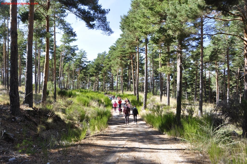 Pista forestal hacia la Presa de Navamuño