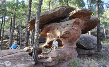 PINARES DE RODENO EN ALBARRACÍN Pinares de Rodeno