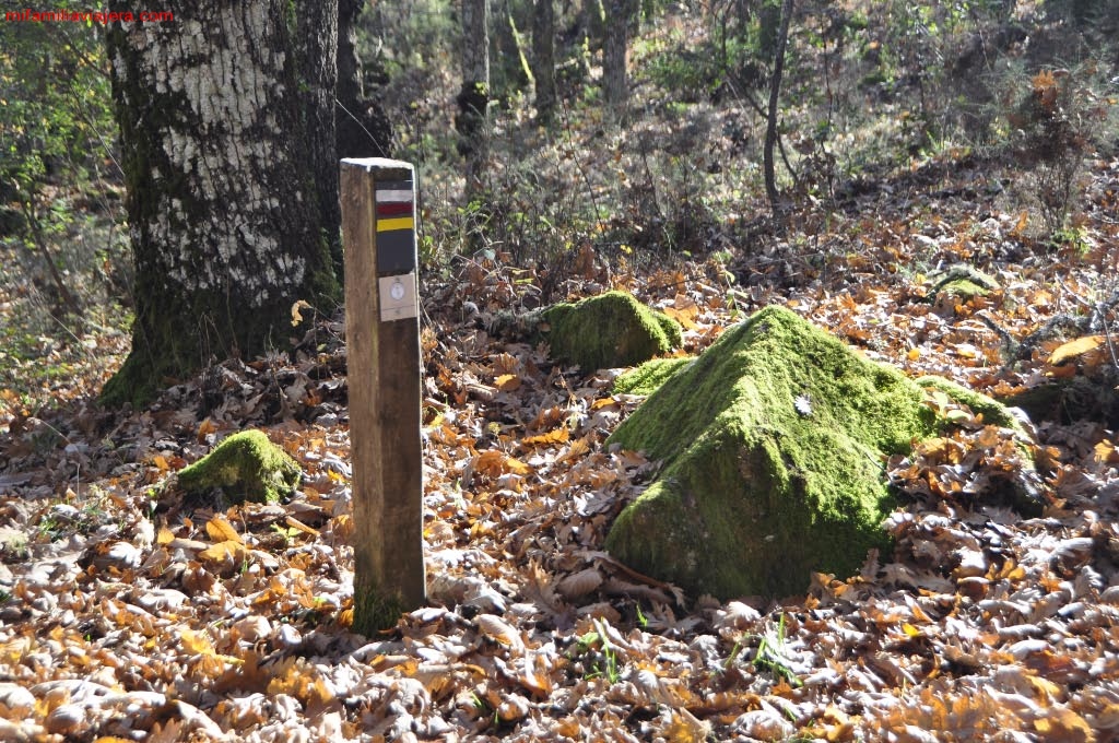 Balizas Sendero micológico