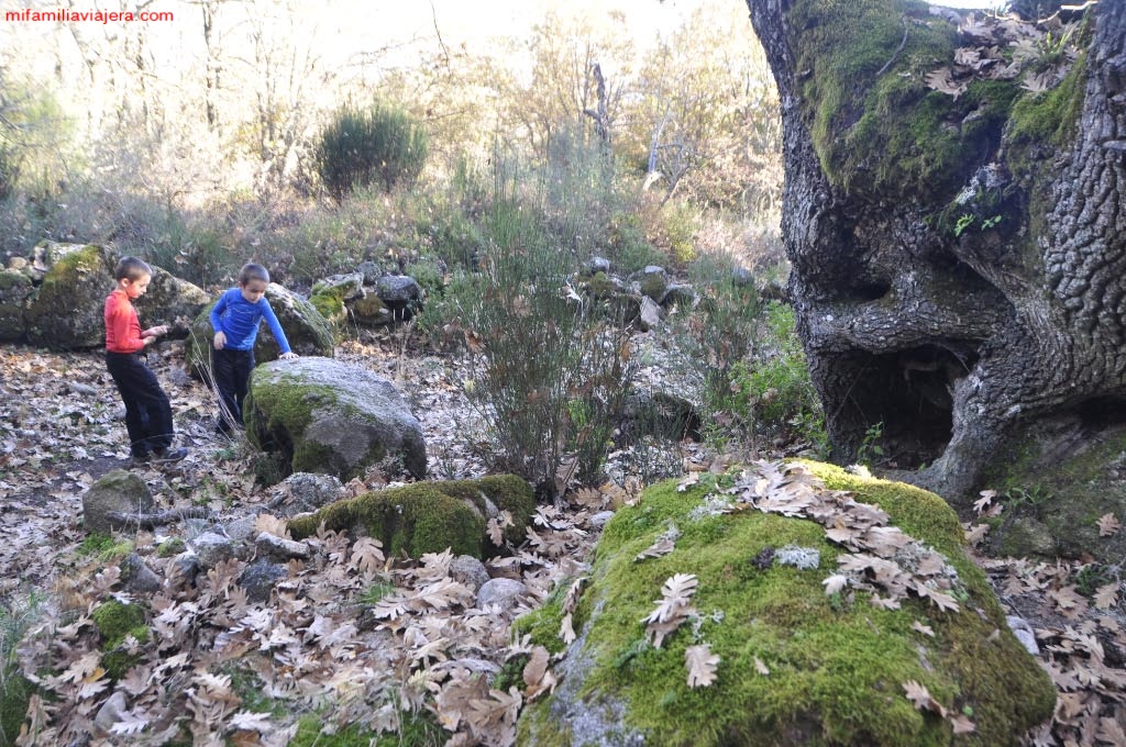 Camino de arrieros