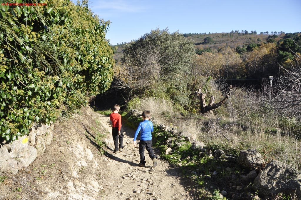 Camino hacia Madroñal