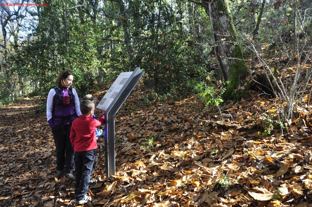 Carteles didácticos Sendero micológico