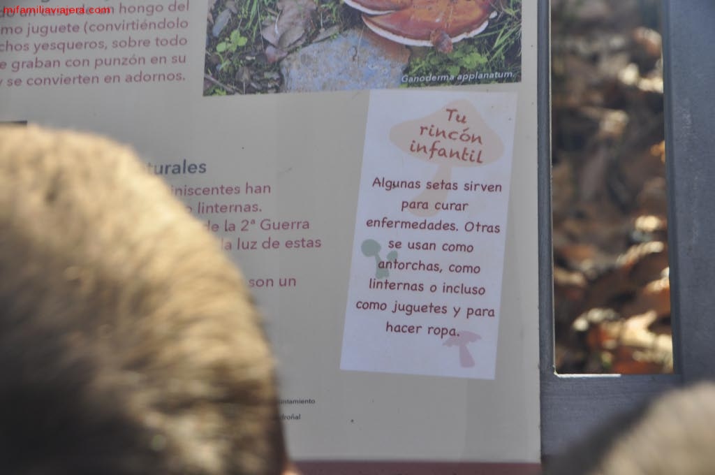 Carteles didácticos Sendero micológico