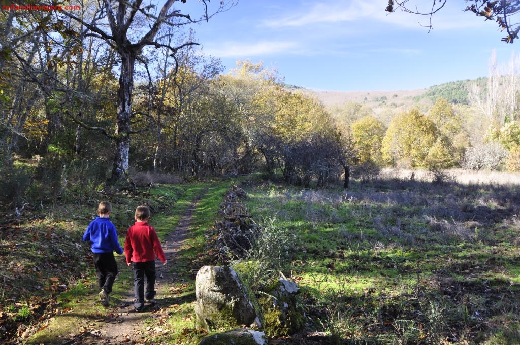 Sendero micológico Cepeda-Herguijuela-Madrigal