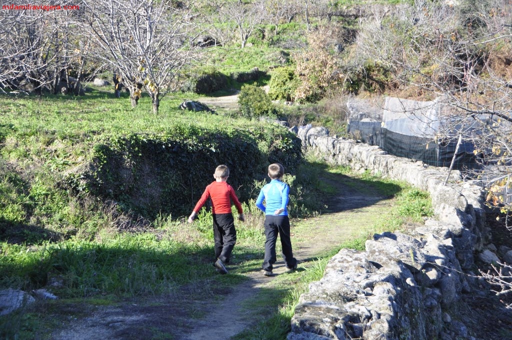 Senda a Madroñal