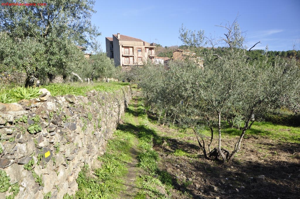 Senda entre los bancales de huertos de Herguijuela