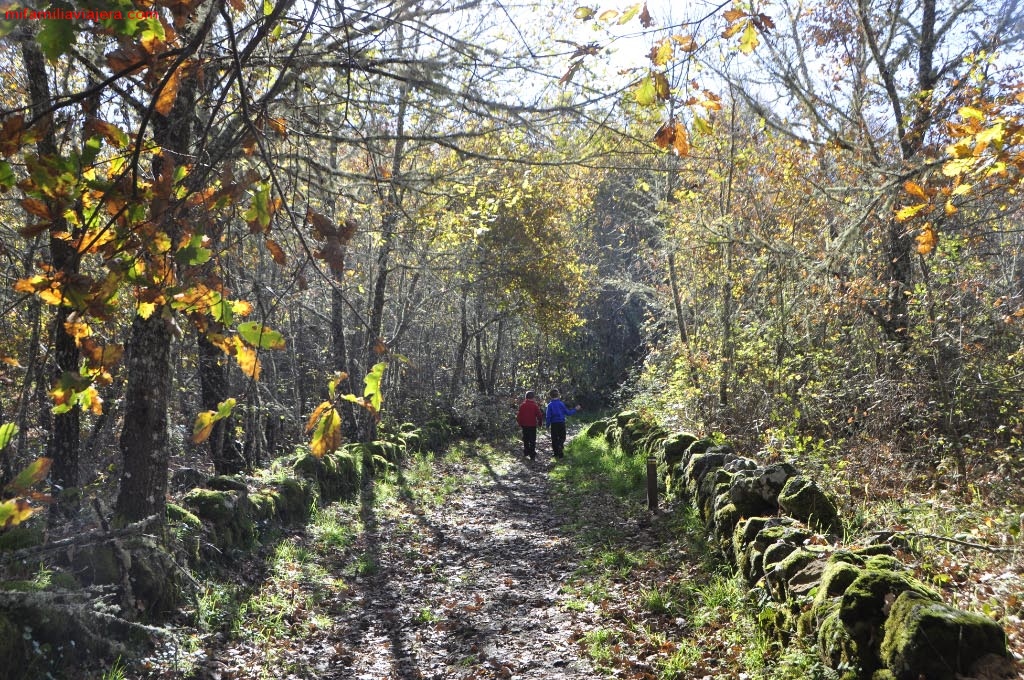 Sendero micológico Cepeda-Herguijuela-Madrigal