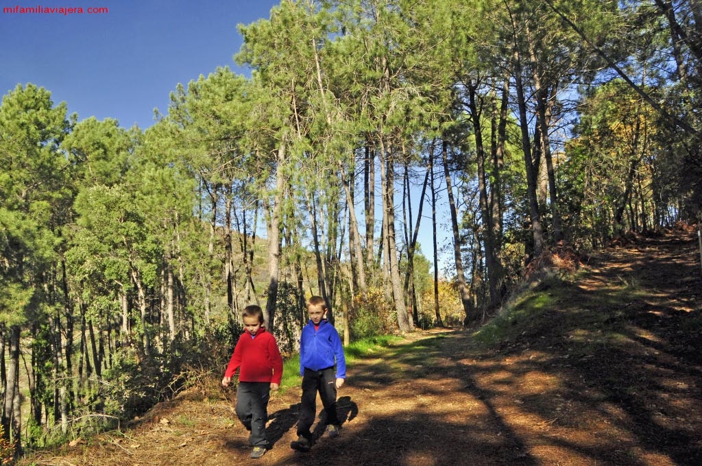 Trayecto lineal i/v Herguijuela de la Sierra