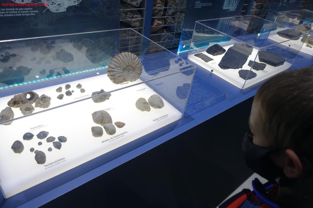 Exposición de icnofósiles