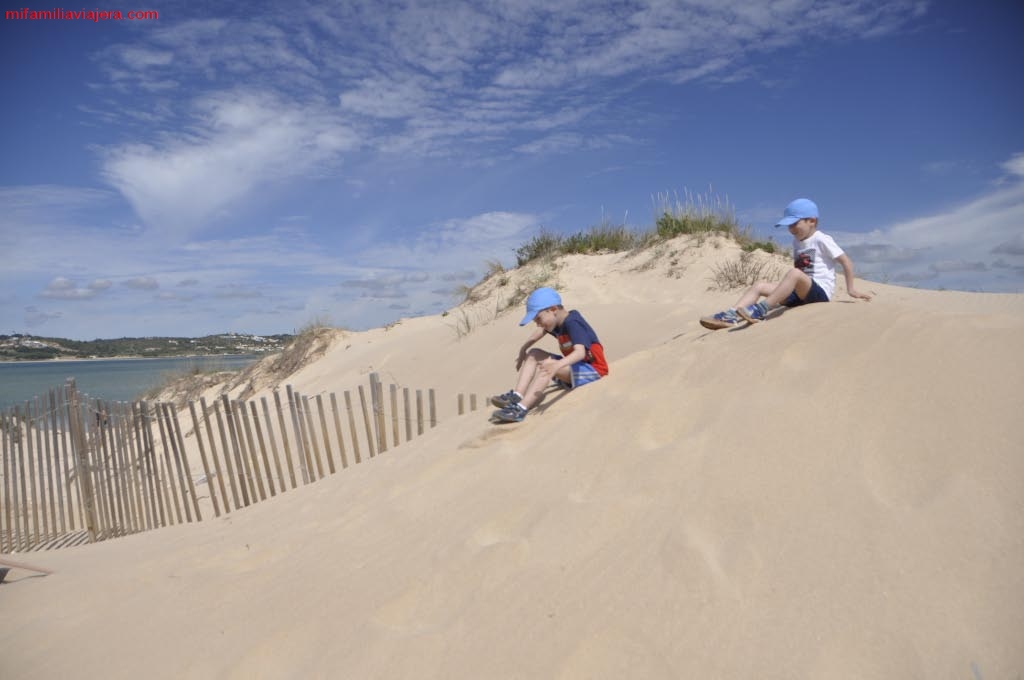 Ecosistema dunar de la playa de Alvor