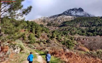 SENDA CASTAÑAR DE LAS HUERTAS EN CUEVAS DEL VALLE CON NIÑOS Pico Torozo