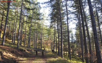 FINCA DE RIBAVELLOSA EN ALMARZA DE CAMEROS CON NIÑOS Finca de Ribavellosa