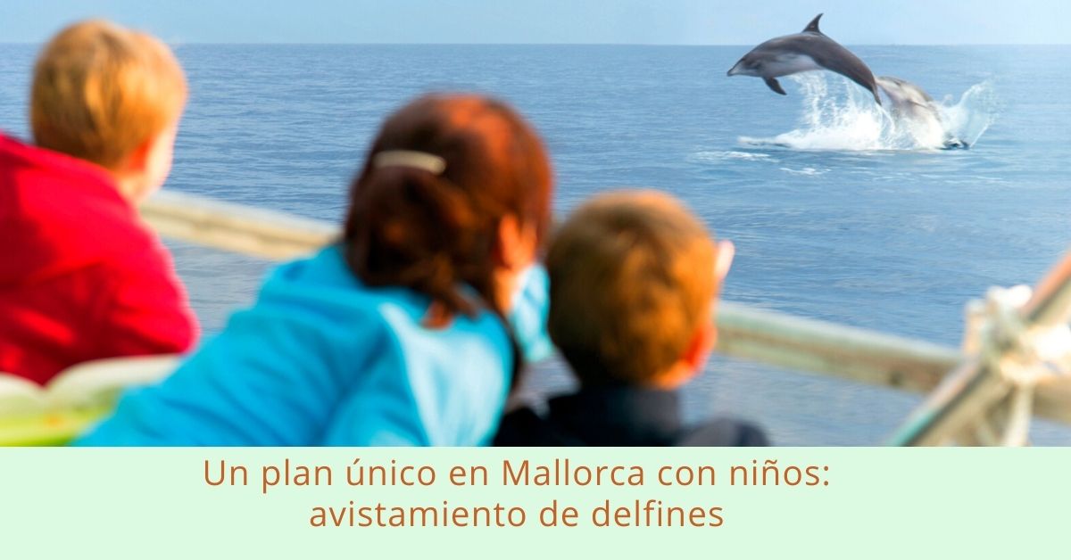 Avistamiento de delfines en Mallorca